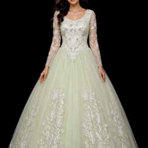 Embroidered Net Ball Gown