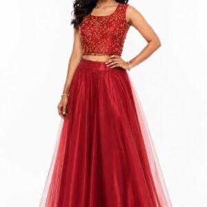 Embroidered Crop Top With Flared Skirt Set